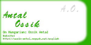 antal ossik business card